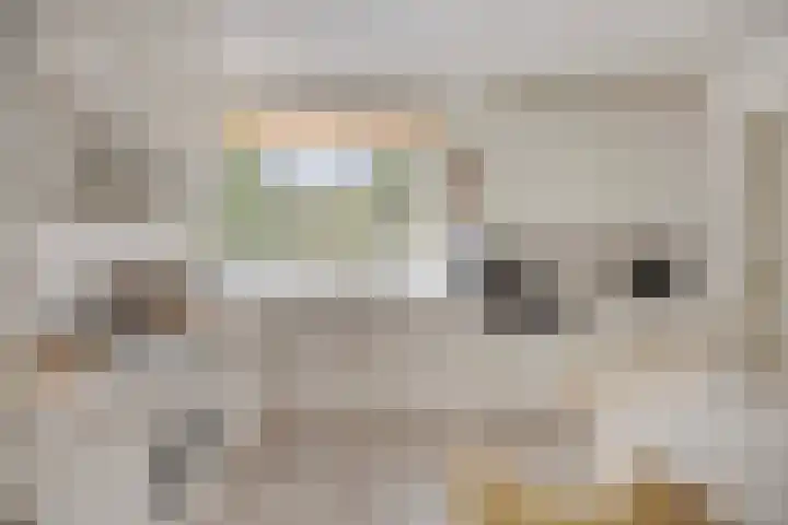 Diepmeerven 80 Eindhoven thumbnail 4