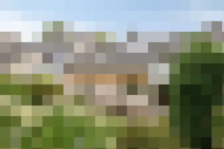 Diepmeerven 80 Eindhoven thumbnail 5