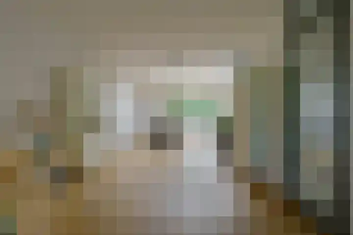 Diepmeerven 96 Eindhoven thumbnail 16