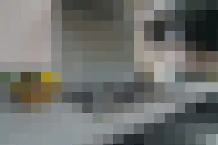 Diepmeerven 96 Eindhoven thumbnail 21