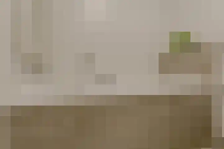 Diepmeerven 96 Eindhoven thumbnail 33