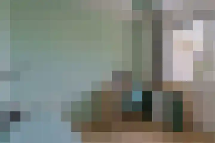 Diepmeerven 96 Eindhoven thumbnail 36
