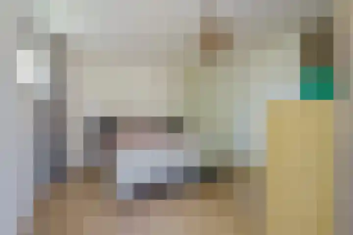 Diepmeerven 96 Eindhoven thumbnail 4