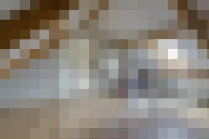 Diepmeerven 96 Eindhoven thumbnail 43