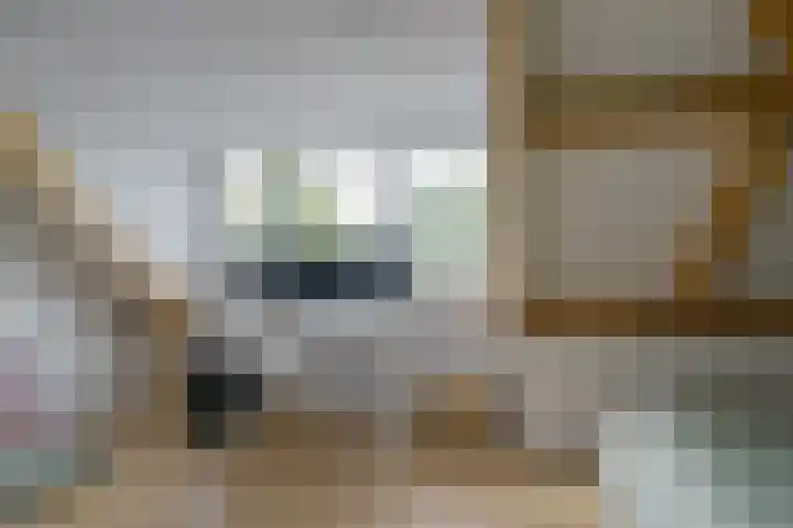 Diepmeerven 96 Eindhoven thumbnail 44