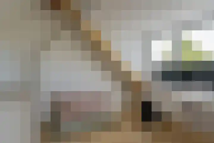 Diepmeerven 96 Eindhoven thumbnail 45