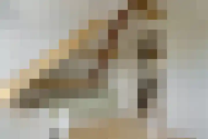 Diepmeerven 96 Eindhoven thumbnail 46