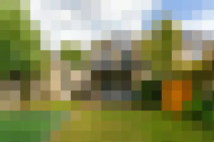 Diepmeerven 96 Eindhoven thumbnail 5