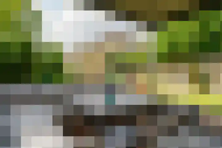 Diepmeerven 96 Eindhoven thumbnail 51