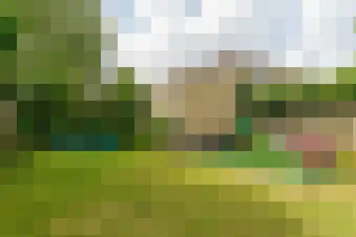 Diepmeerven 96 Eindhoven thumbnail 52