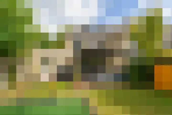 Diepmeerven 96 Eindhoven thumbnail 54