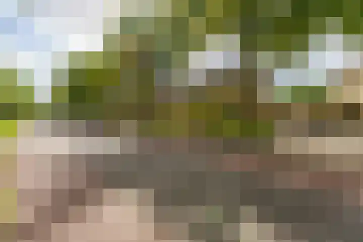 Diepmeerven 96 Eindhoven thumbnail 8