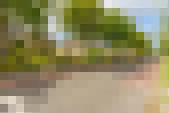 Diepmeerven 96 Eindhoven thumbnail 9