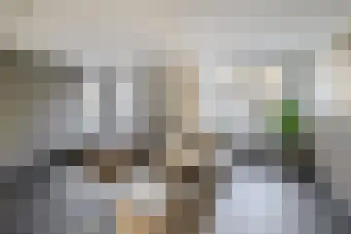 Dieppelaan 19 Eindhoven thumbnail 17