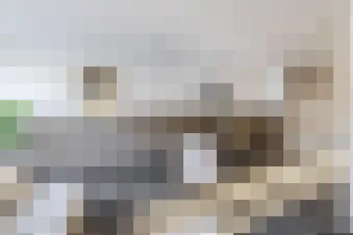 Dieppelaan 19 Eindhoven thumbnail 19