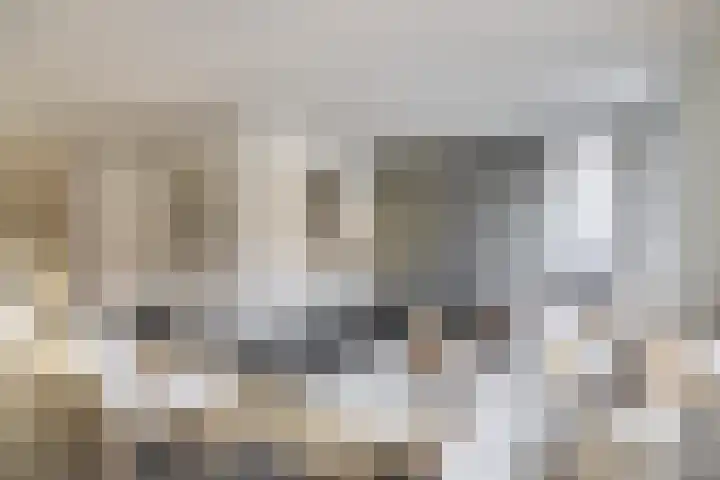 Dieppelaan 19 Eindhoven thumbnail 20