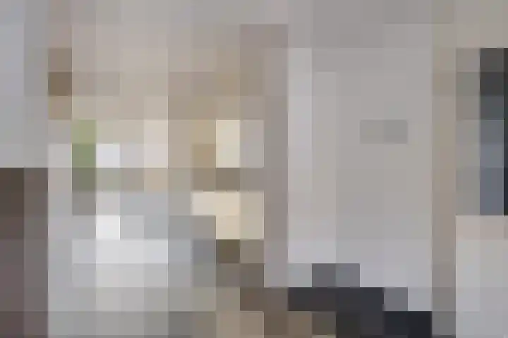 Dieppelaan 19 Eindhoven thumbnail 21