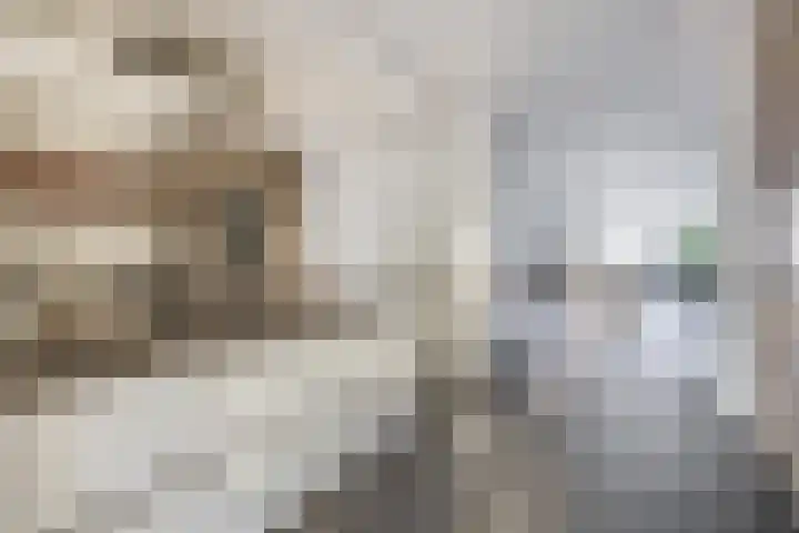 Dieppelaan 19 Eindhoven thumbnail 22