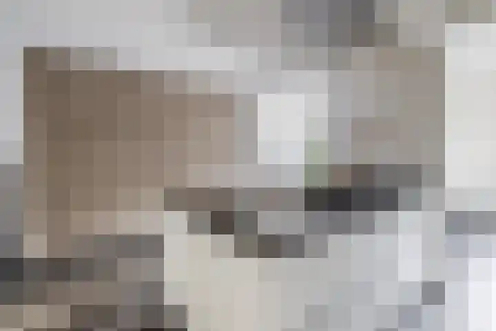 Dieppelaan 19 Eindhoven thumbnail 23