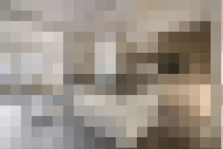 Dieppelaan 19 Eindhoven thumbnail 24
