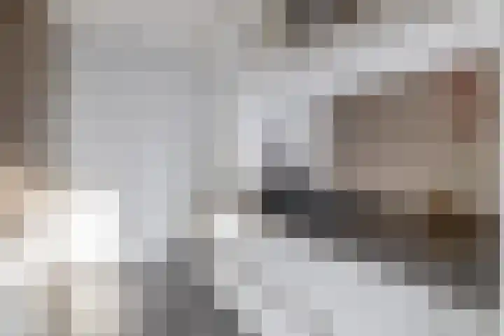 Dieppelaan 19 Eindhoven thumbnail 25