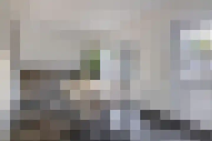 Dieppelaan 19 Eindhoven thumbnail 27