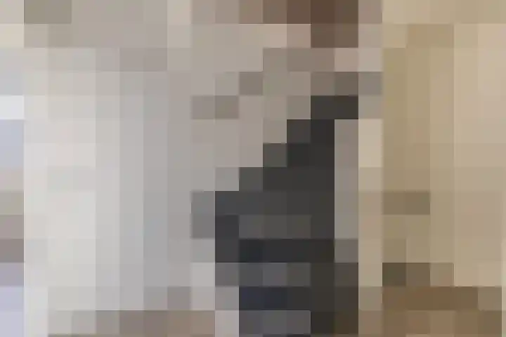 Dieppelaan 19 Eindhoven thumbnail 29