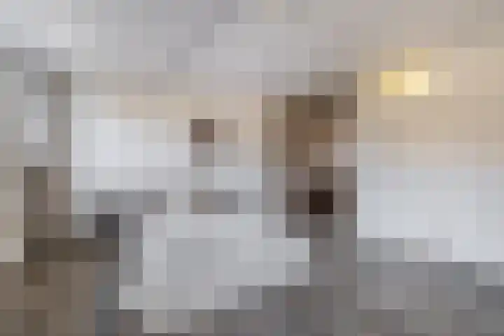 Dieppelaan 19 Eindhoven thumbnail 30