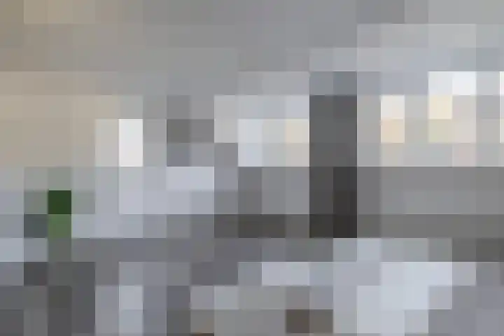Dieppelaan 19 Eindhoven thumbnail 31