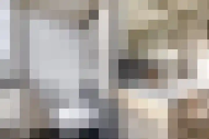 Dieppelaan 19 Eindhoven thumbnail 32