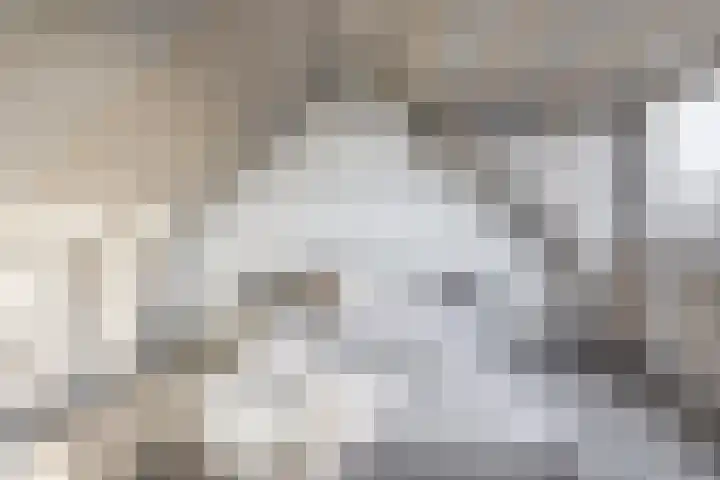 Dieppelaan 19 Eindhoven thumbnail 36