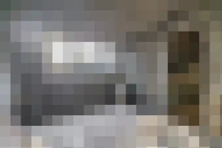 Dieppelaan 19 Eindhoven thumbnail 37