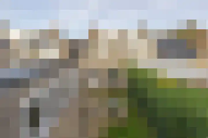 Dieppelaan 19 Eindhoven thumbnail 38