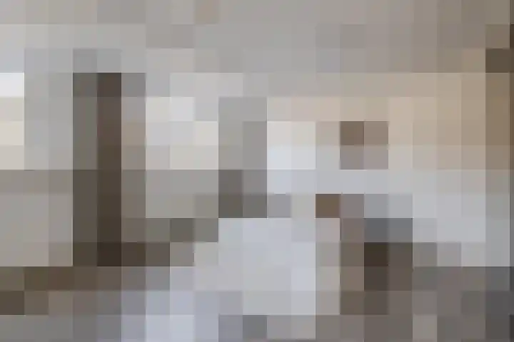 Dieppelaan 19 Eindhoven thumbnail 4
