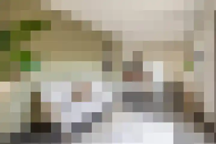 Dieppelaan 19 Eindhoven thumbnail 43