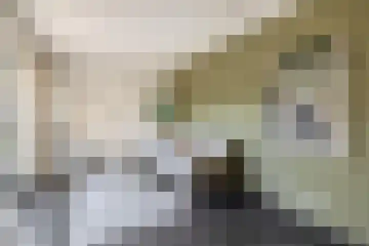 Dieppelaan 19 Eindhoven thumbnail 44