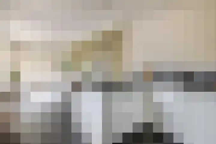 Dieppelaan 19 Eindhoven thumbnail 45