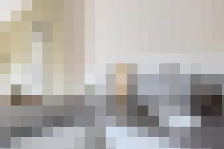 Dieppelaan 19 Eindhoven thumbnail 47