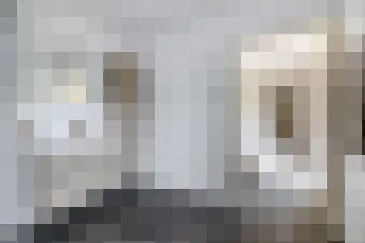 Dieppelaan 19 Eindhoven thumbnail 49