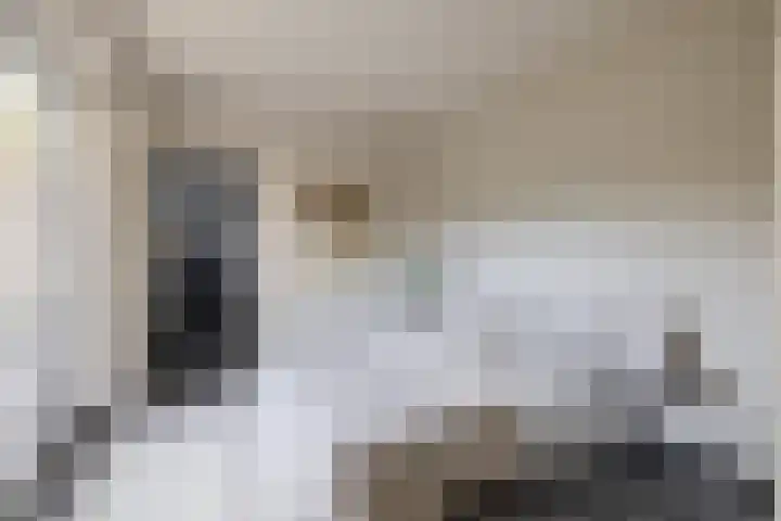 Dieppelaan 19 Eindhoven thumbnail 50