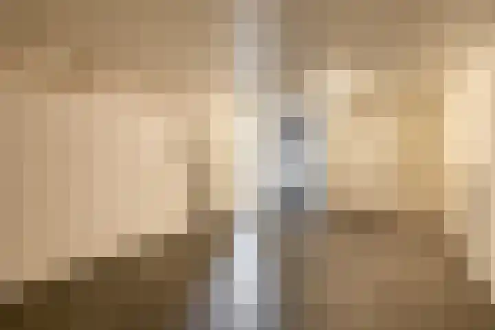 Dieppelaan 19 Eindhoven thumbnail 52