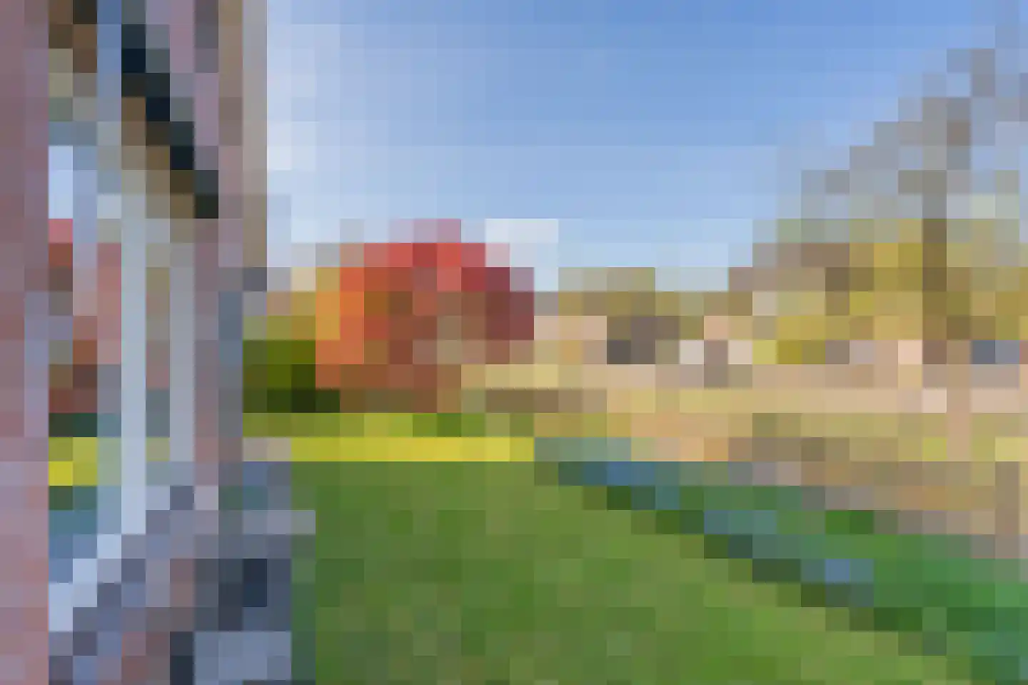 Diepsloot 1 Vries thumbnail 11