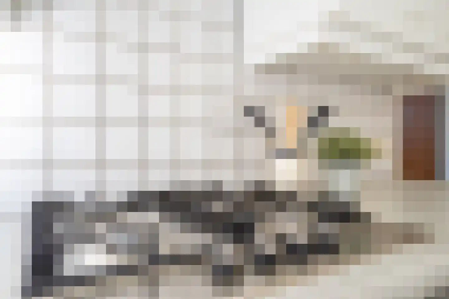 Diepsloot 1 Vries thumbnail 26