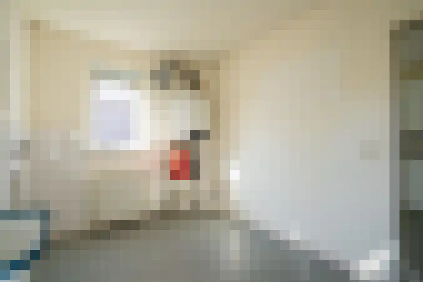 Diepsloot 1 Vries thumbnail 29