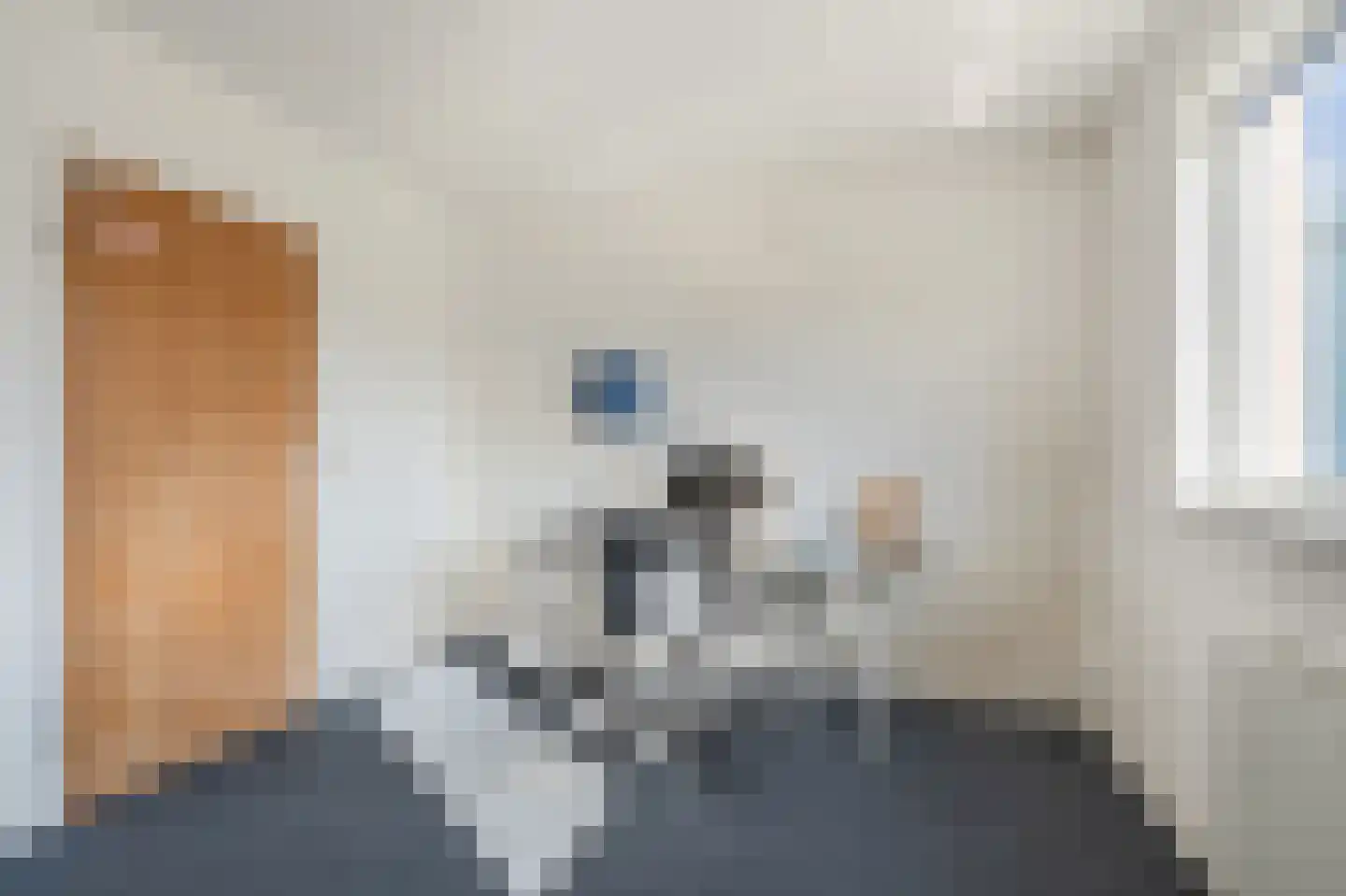 Diepsloot 1 Vries thumbnail 31