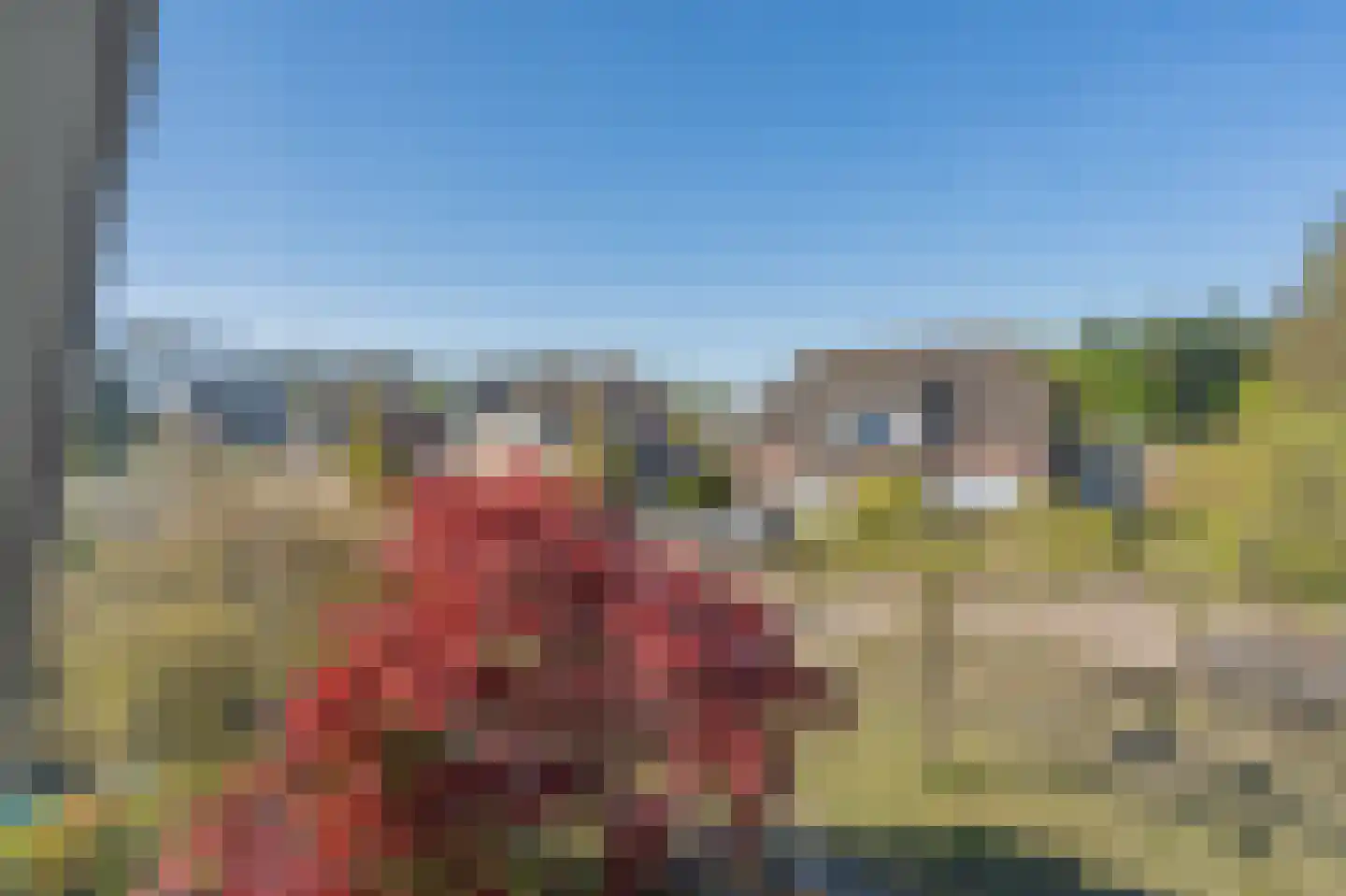 Diepsloot 1 Vries thumbnail 37