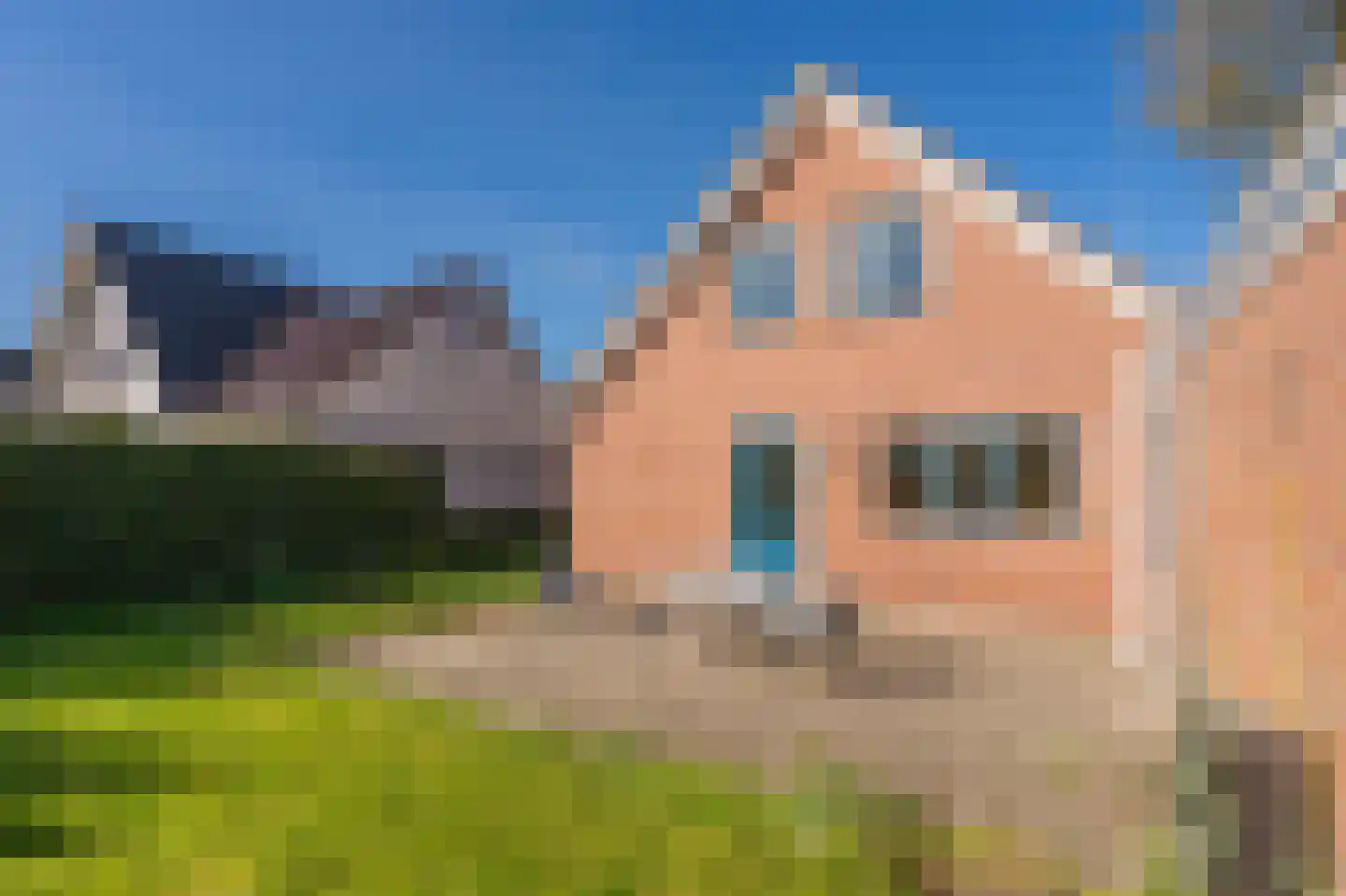 Diepsloot 1 Vries thumbnail 51