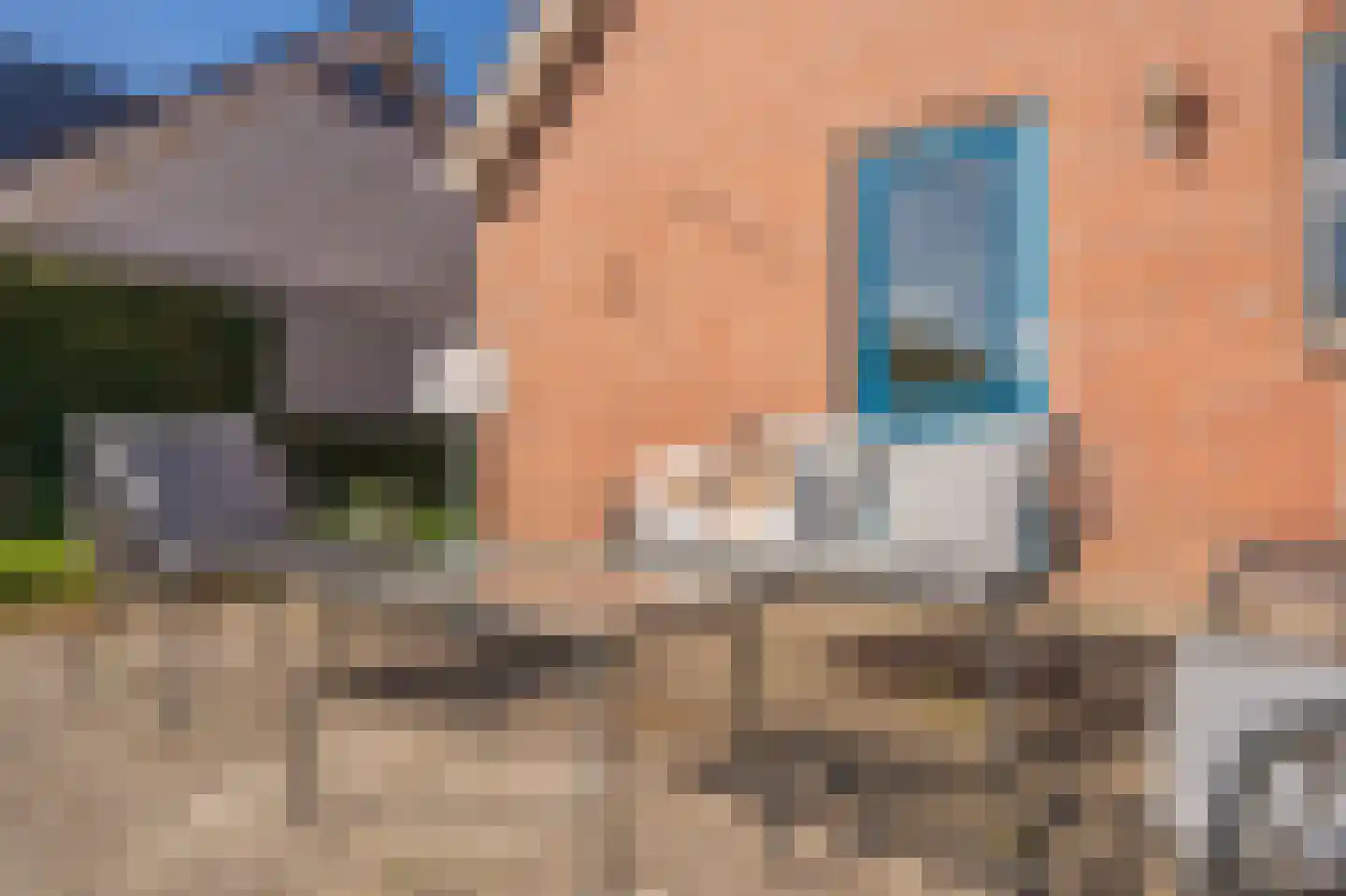Diepsloot 1 Vries thumbnail 52