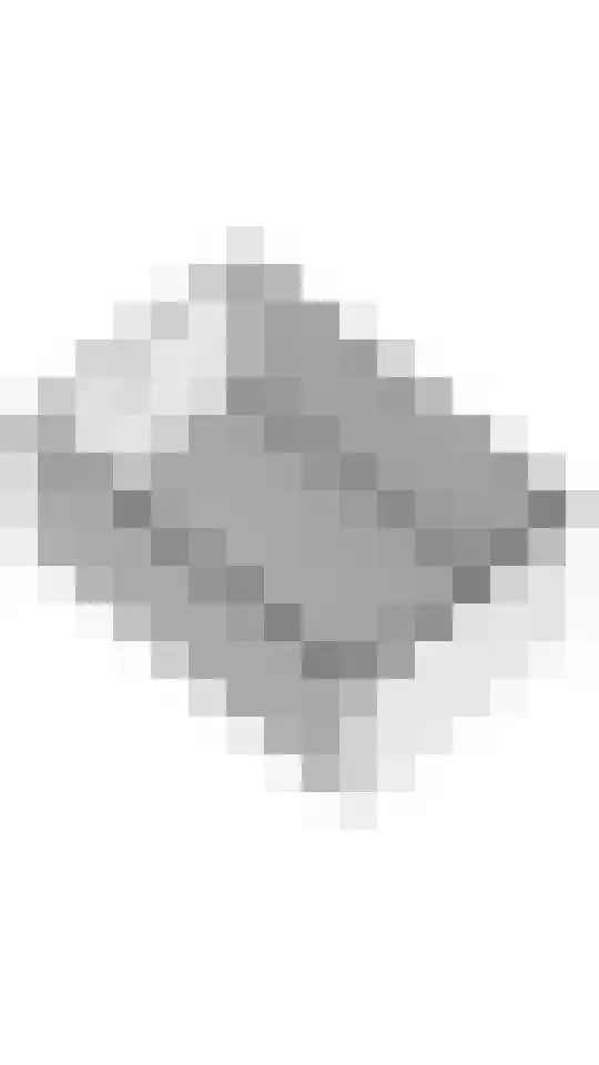 Diepsloot 1 Vries thumbnail 64