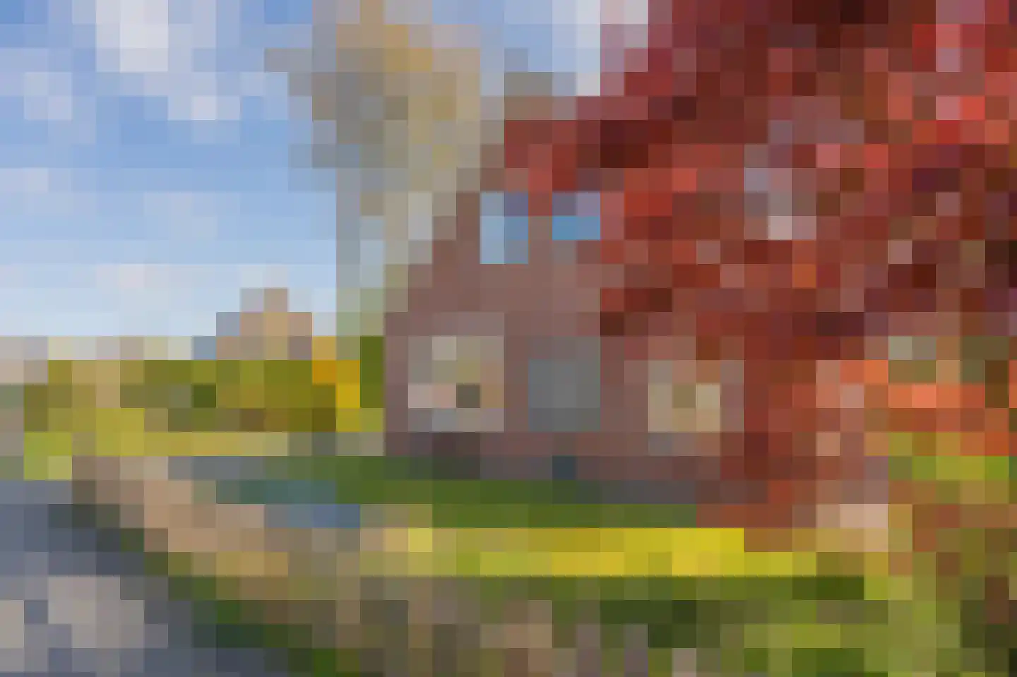 Diepsloot 1 Vries thumbnail 8